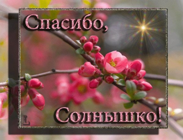 Открытки спасибо солнышко