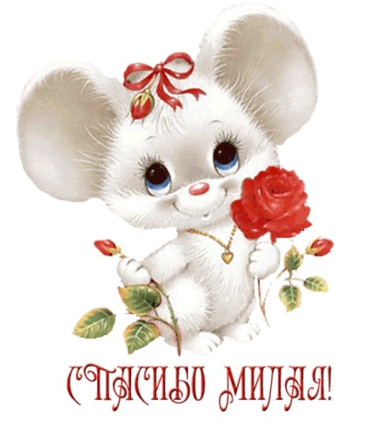 Открытки спасибочки