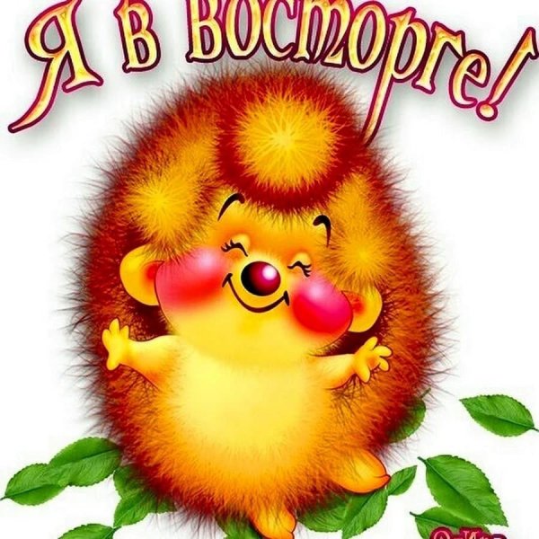 Моему солнышку с любовью