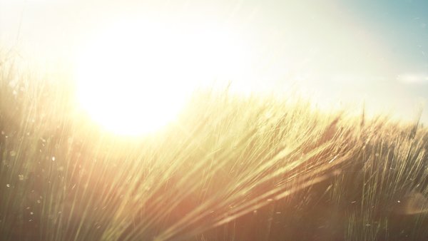 Фон солнце с лучами