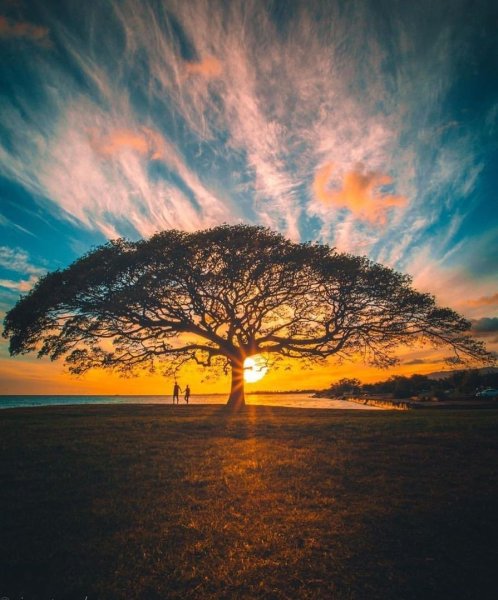 Лучи солнца