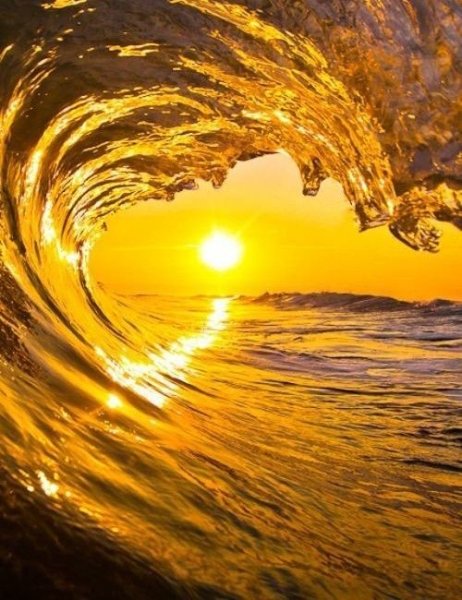 Желтое солнце