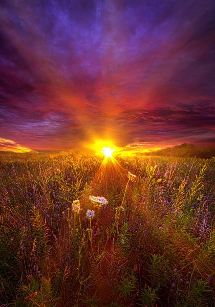 Природа солнце