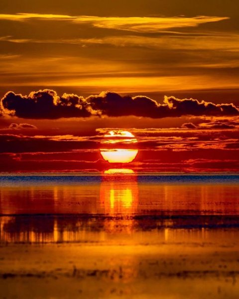 Звезда сверхгигант Антарес