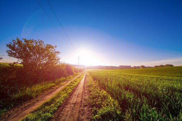 Дорога в поле