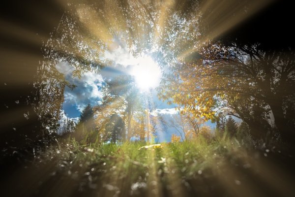 Солнечный свет