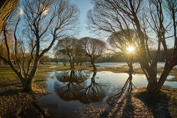 Весна Верба