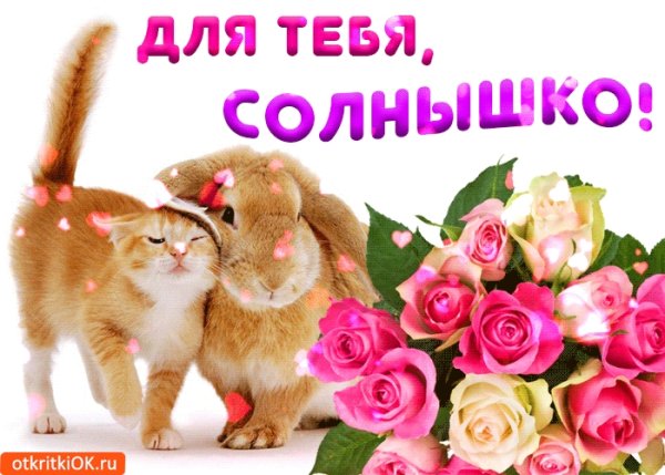 Открытки солнышко моё