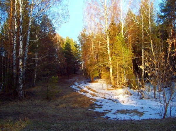 Юона мартовское солнце