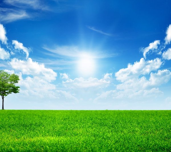 Природа поле