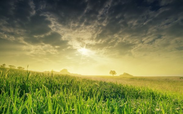 Парниковый эффект планеты