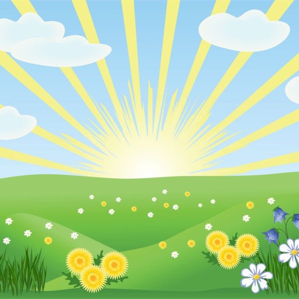 Поляна с цветами