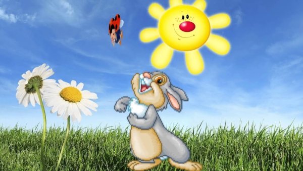 Зайки на лужайке