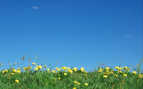 Детские фоны