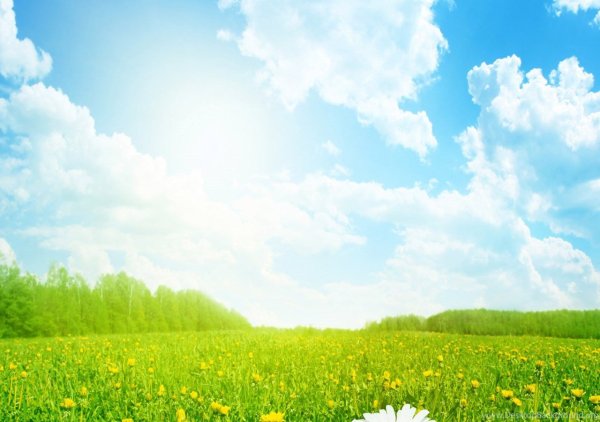 Летняя Поляна для детей