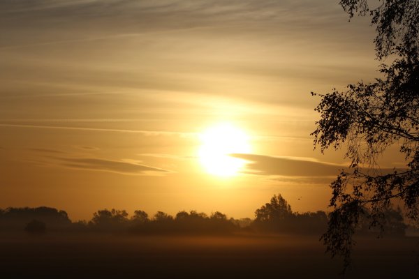 Утро небо солнце