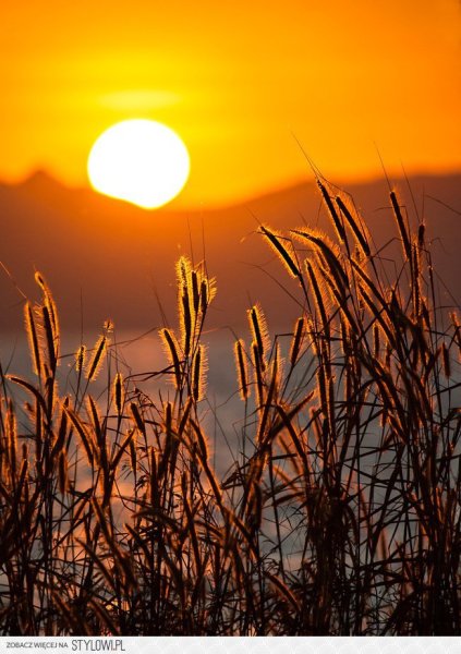 Утренний рассвет