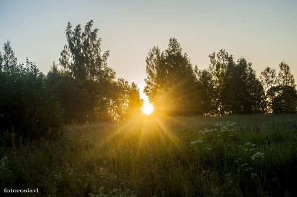 Солнечные лучи