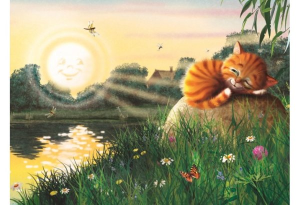 Котёнок и солнышко