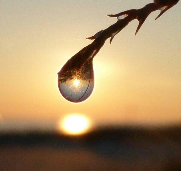 Отражение солнца в капле
