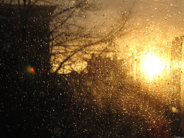 Дождь и солнце