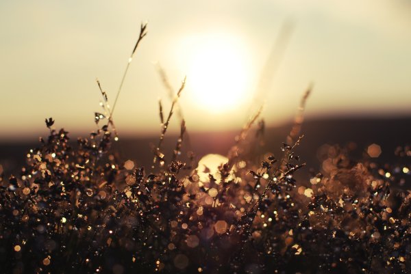 Солнечные блики