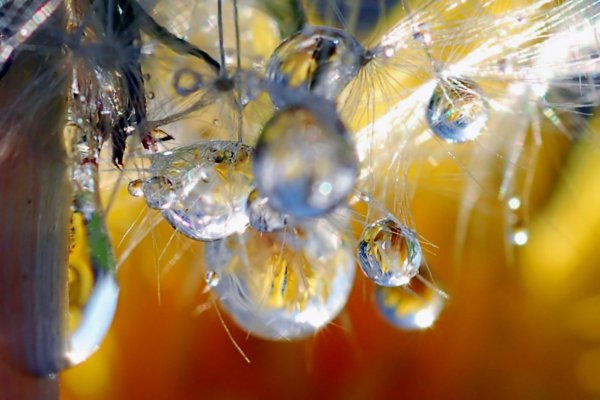 Макро отражение в капле воды