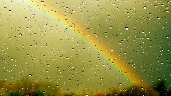 Обои на рабочий стол дождь