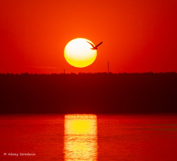 Солнце садится