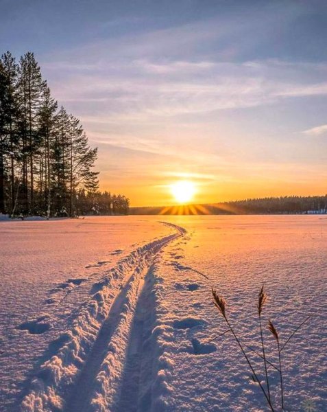 Зима солнце