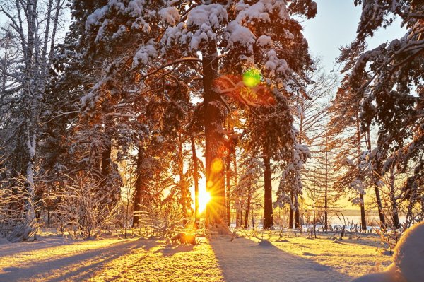 Солнечный зимний день