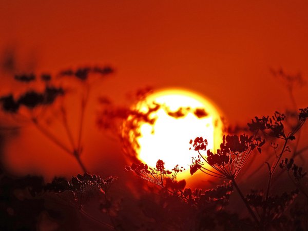 Летнее солнцестояние закат