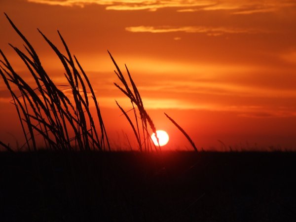 Красивый закат в поле