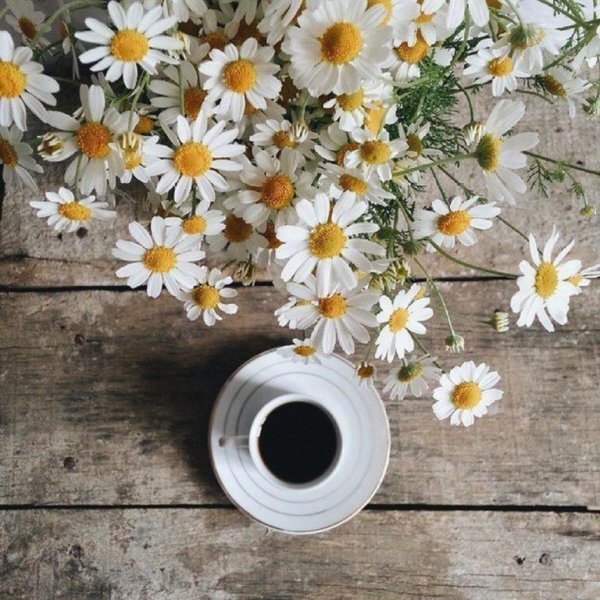 Доброе утро стильные