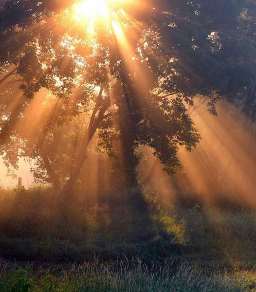 Рассвет лучи