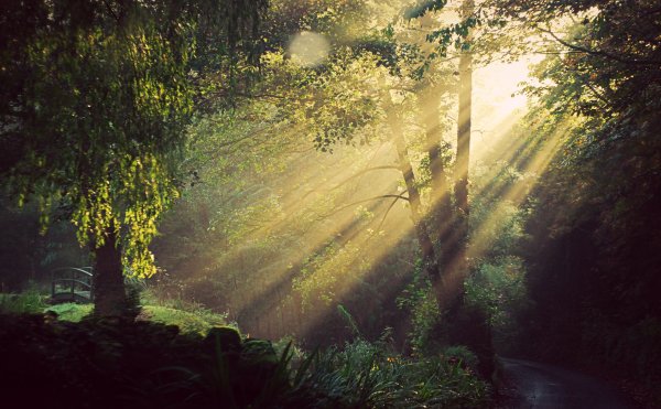 Луч света Эстетика