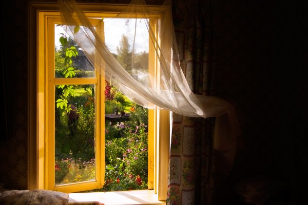 Окно в лето