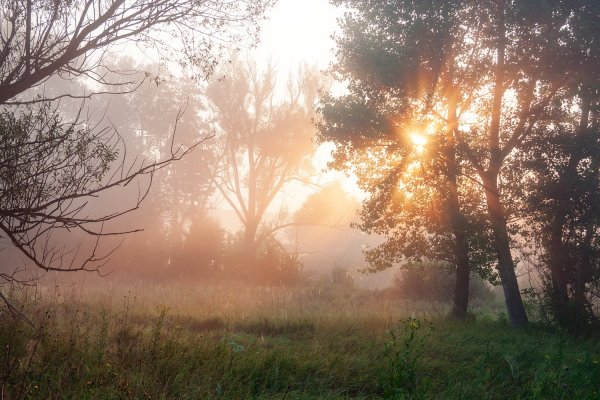 Утреннее солнце
