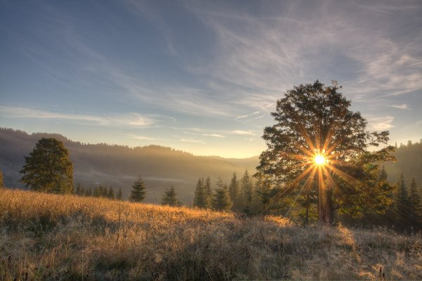 Раннее утро рассвет