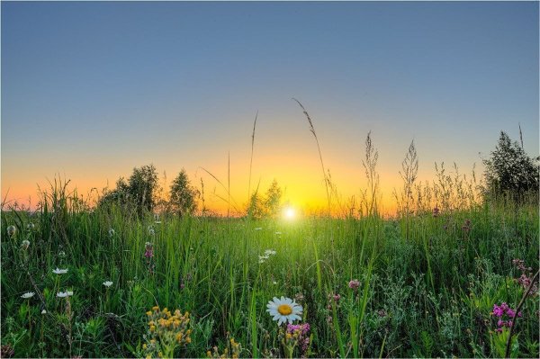 Природа летом рассвет