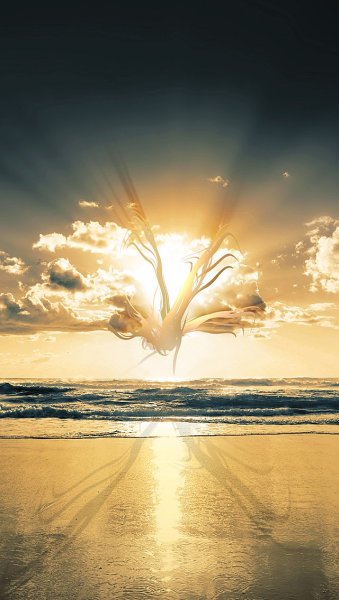 Пустыня для детей