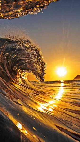 Рассвет в поле