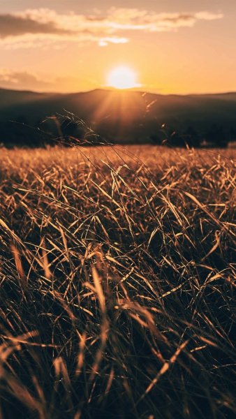 Фон рассвет