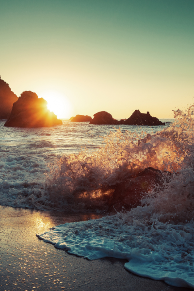 Пальмы на берегу