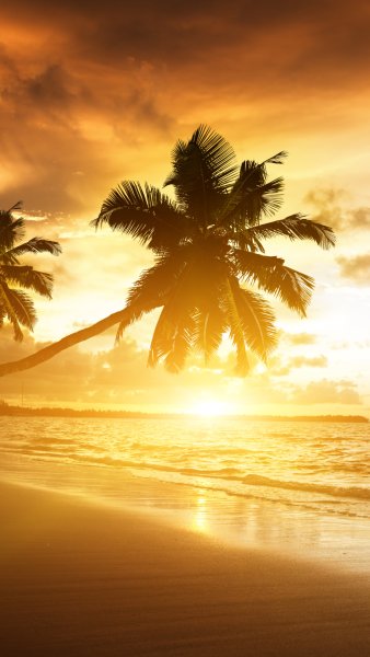 Солнце в облаках