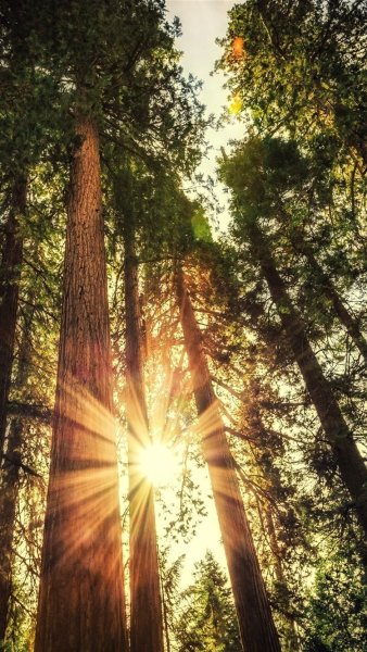 Красивый рассвет в городе