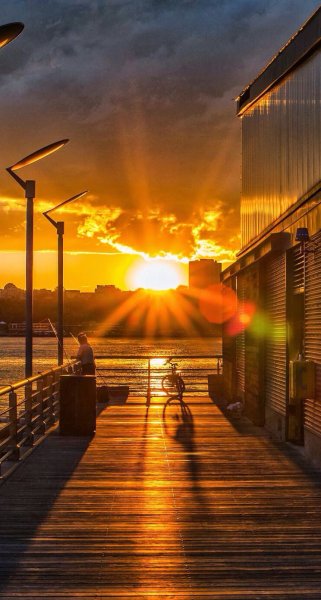 Рассвет пальмы