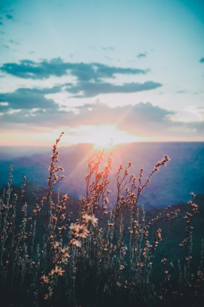 Природа Вдохновение