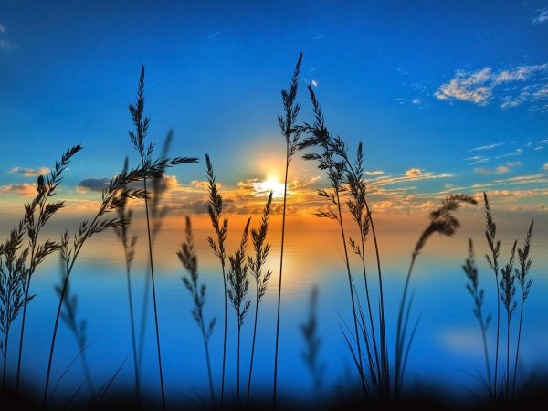 Море солнце