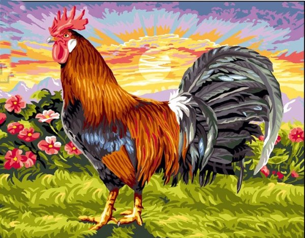 Петух кричит
